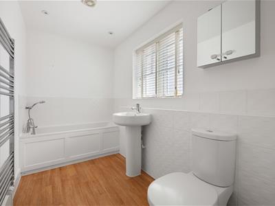 Picture 15